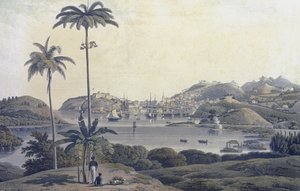 A View of the Town of St. George on the Island of Grenada, taken from the Belmont Estate, engraved by William Daniell, c.1810 by Lieutenant Colonel J. Wilson