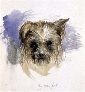 My Pet Dog