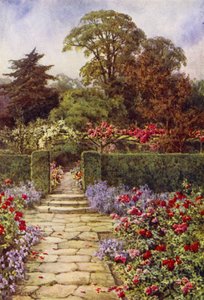 The Rose Walk