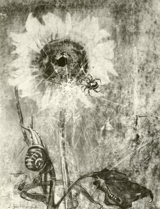 The Fairies by Lily Blatherwick
