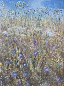 Cornflower 1 by Lincoln Seligman