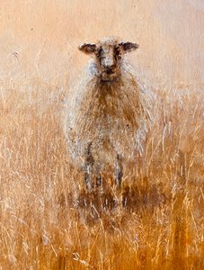 Favourite Ewe