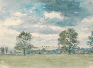 Summer Landscape
