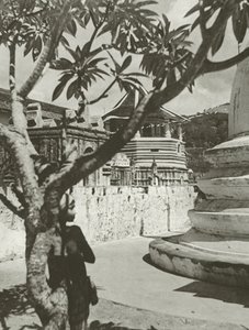 Boy in the Maligawa
