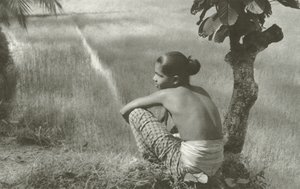 By the Field