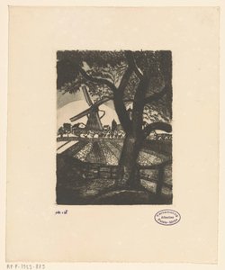 Orchard