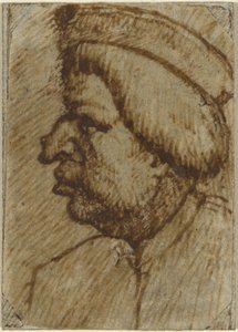 Profile of a Man