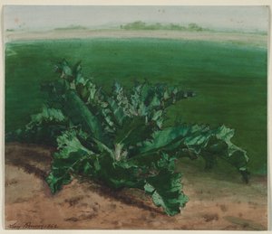 Study of a Plant, Possibly Thistle, 1862 by Léon Bonvin
