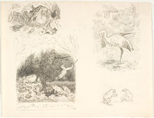 Four Drafts for Illustrations for The Toad, H.C. Andersen