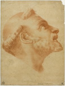 Upturned Head of Saint Dominic