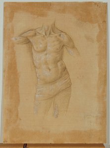 Bust of a Half-Naked Man, Without Head