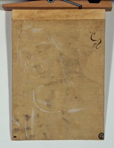 Head of a Young Girl, Three Quarters Towards the Left