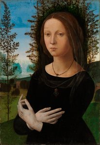 Portrait of a Young Woman