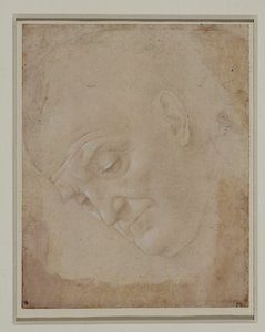 Portrait of a Bald Man, Turned Three Quarters to the Left