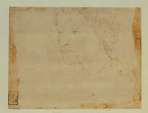 Portrait of a Boy with Curly Hair, Three-Quarters Towards the Left