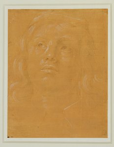 Portrait of a Young Man Looking Up