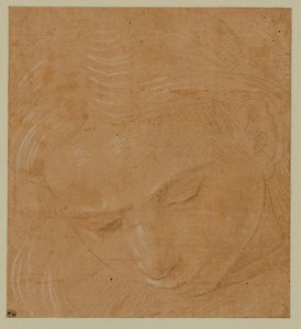 Portrait of a Young Man Looking Down