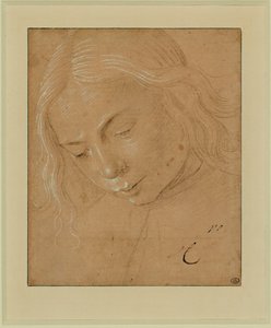 Portrait of a Young Man, Three-Quarter Profile, Bent Forward