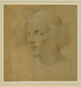 Portrait of a Young Man with Skullcap