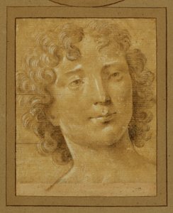 Study of a Man with Long, Curly Hair
