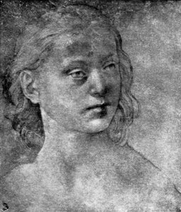 The Head of a Young Woman