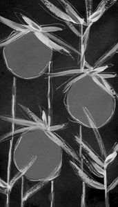 Abstract Botanical Forms