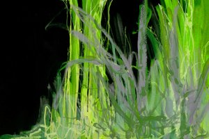 Abstract Green Foliage