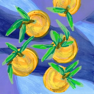 Fresh Citrus Oranges