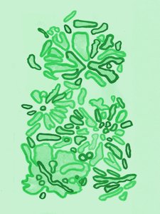 Green Organic Shapes