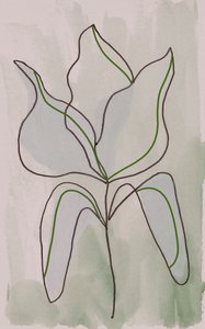 Minimalist Botanical Outline by Lori Ann Folz