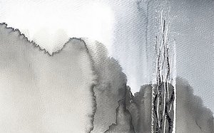 Misty Monochrome Forest