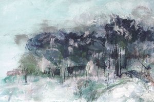Misty Winter Forest