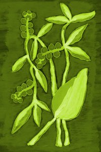 Vibrant Green Foliage
