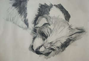 Jack Russel by Lou Gibbs