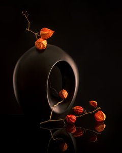 Orange Botanicals Black Vase