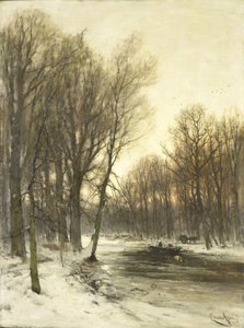 An Afternoon View of Snowy Woods