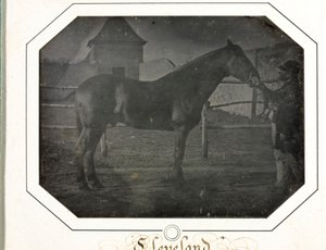 Cleveland by Louis Auguste Bisson