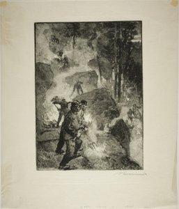 Fern Burners in the Forest