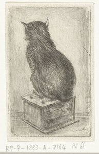 Cat Sitting on a Stove