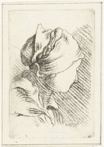 Study Sheet with a Woman