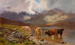 Highland Cattle by Louis Bosworth Hurt