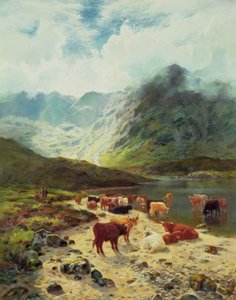 Ross-shire Loch
