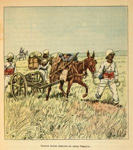 Hovas Canons Brought Back to the French Camp