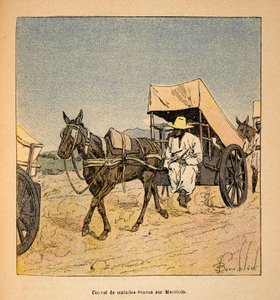 Convoy of Sick Escapes on Marololo