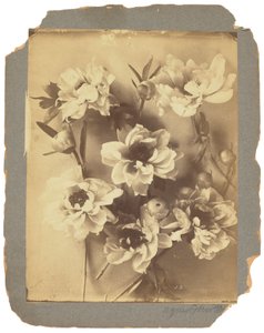 Tiffany Studios by Louis Comfort Tiffany