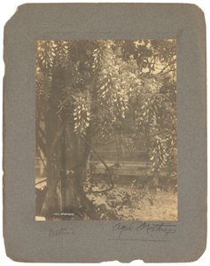 Tiffany Studios by Louis Comfort Tiffany