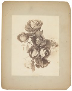 Tiffany Studios by Louis Comfort Tiffany