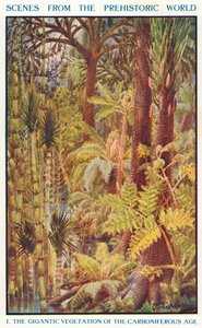 The Gigantic Vegetation of the Carboniferous Age