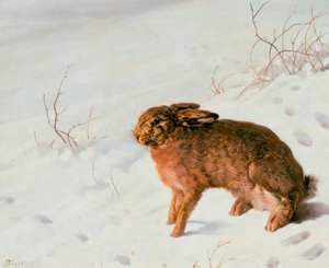 Hare in the Snow by Louis Ferdinand von Rayski