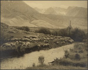 A Mountain Meadow by Louis Fleckenstein